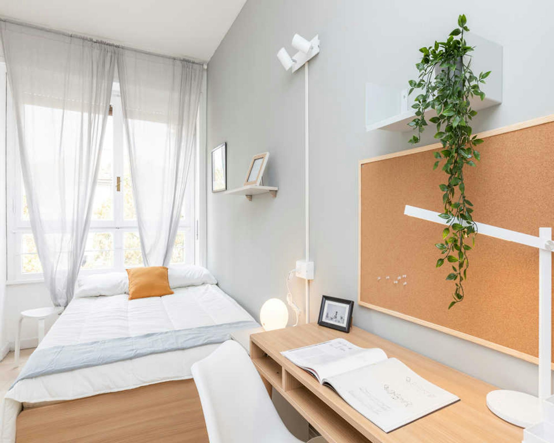 Viale Tibaldi, Milan preview