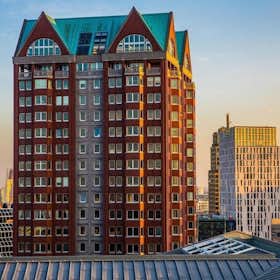 Apartment for rent for €3,750 per month in Rotterdam, Botersloot