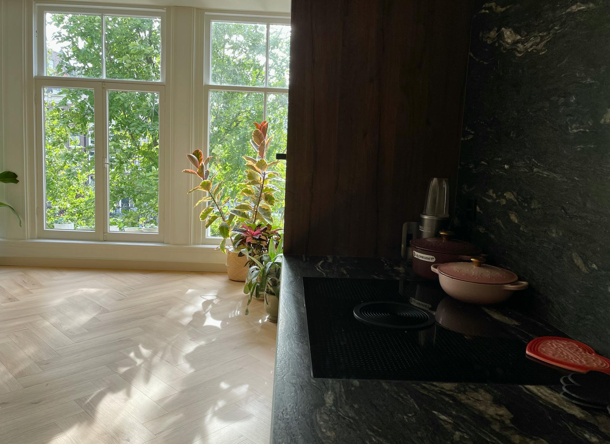 1-Bedroom Apartment in Singel, Amsterdam (1425095) ROOM 4