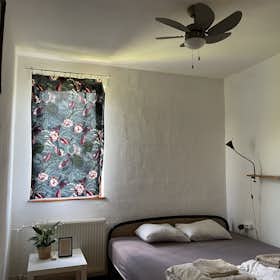 Отдельная комната сдается в аренду за 137 685 HUF в месяц в Budapest, Hérics utca