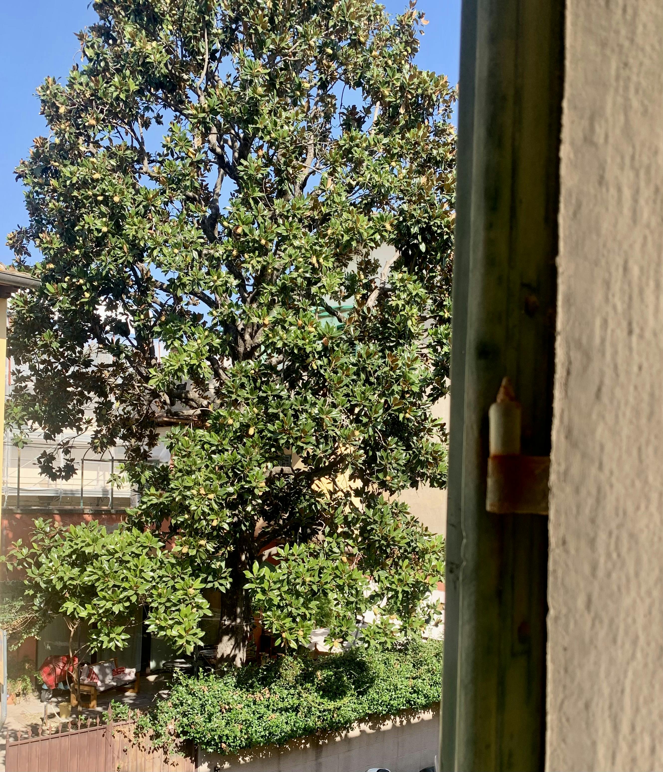 Private room for rent for €700 per month in Florence, Via dei Vanni