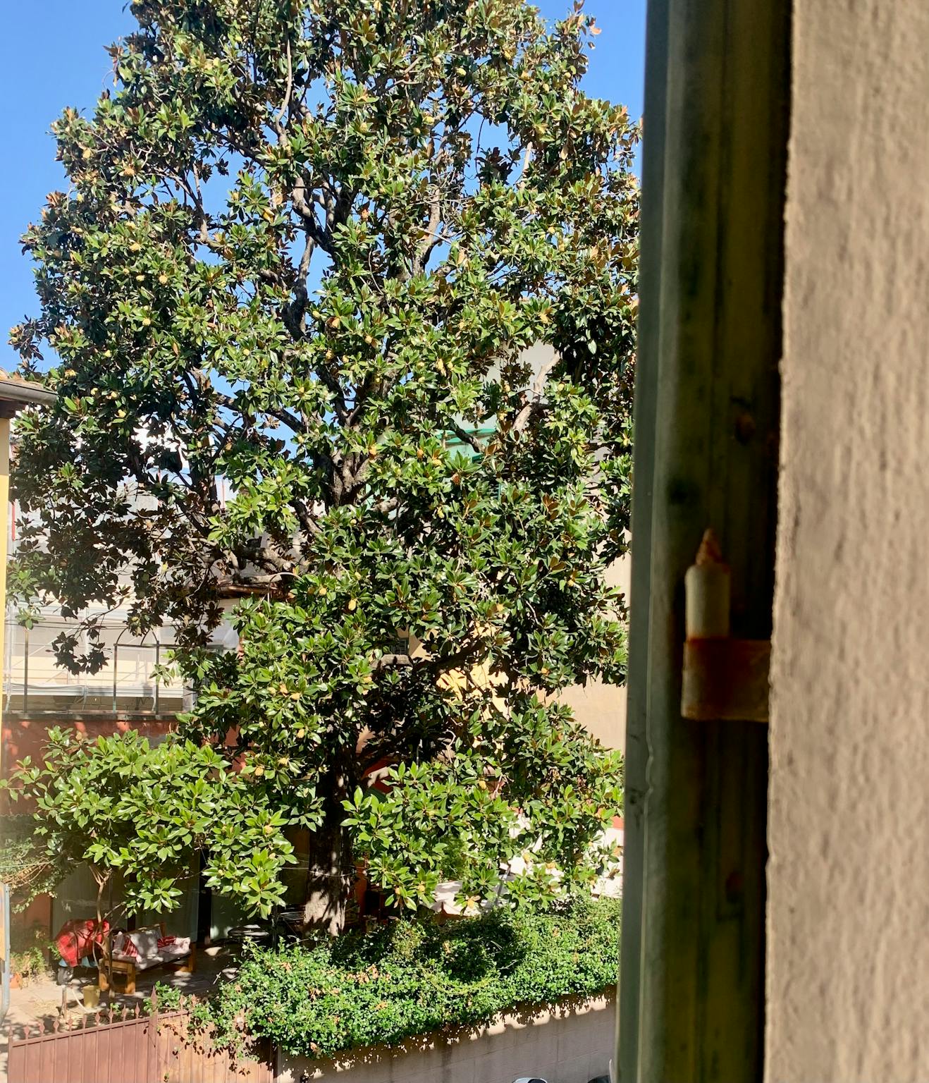 Via dei Vanni, Florence preview