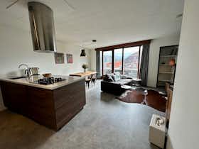 Apartment for rent for €1,700 per month in Haarlem, Nassaulaan