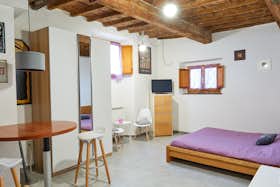 Studio para alugar por € 850 por mês em Florence, Via Baccio Bandinelli