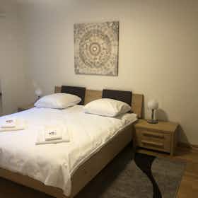 Appartamento in affitto a 5.886 CHF al mese a Zürich, Hofackerstrasse