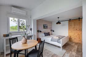 House for rent for HUF 408,597 per month in Kőröshegy, Borochegy
