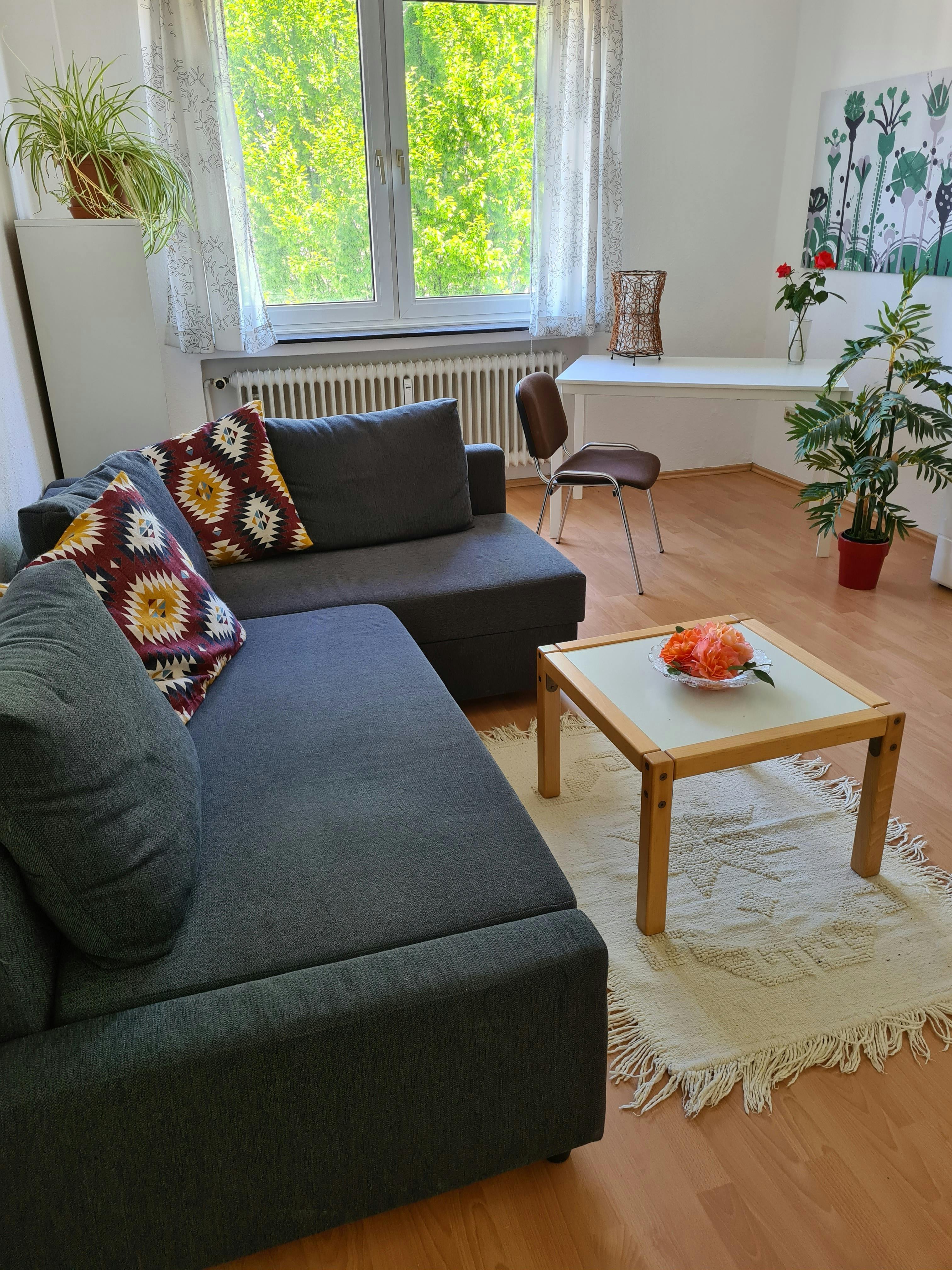 1-Bedroom Apartment in Plauener Straße, Dortmund (1428602) room image 2