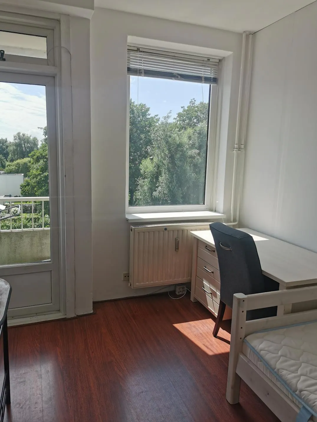 Private room in Van Boshuizenstraat, Amsterdam (1429034) ROOM 4