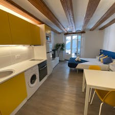 Studio for rent for €1,250 per month in Barcelona, Carrer de Ferran
