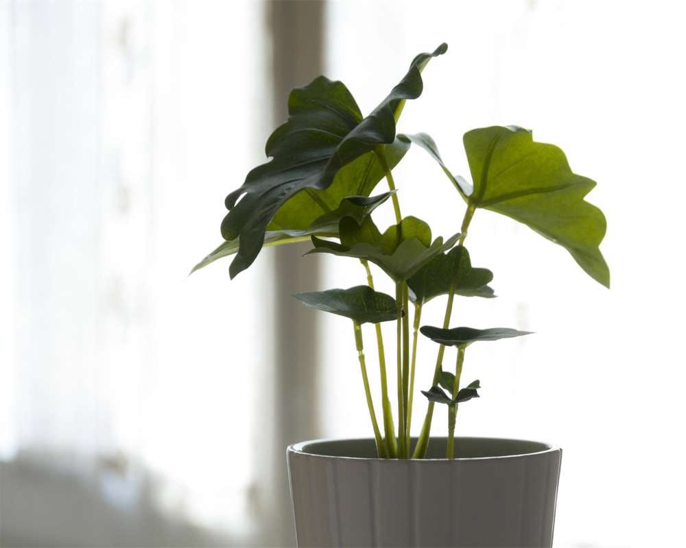 Via Vincenzo Monti, Milan