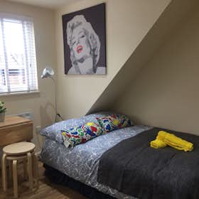 Studio for rent for £1,548 per month in London, High Road