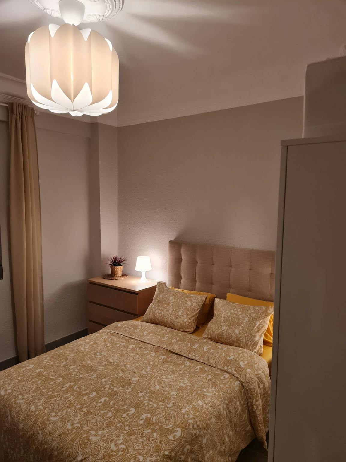 Avenida Al Vedat, Torrent preview