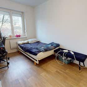 Privé kamer te huur voor € 319 per maand in Mulhouse, Boulevard des Alliés