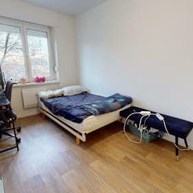 Приватна кімната за оренду для 319 EUR на місяць у Mulhouse, Boulevard des Alliés