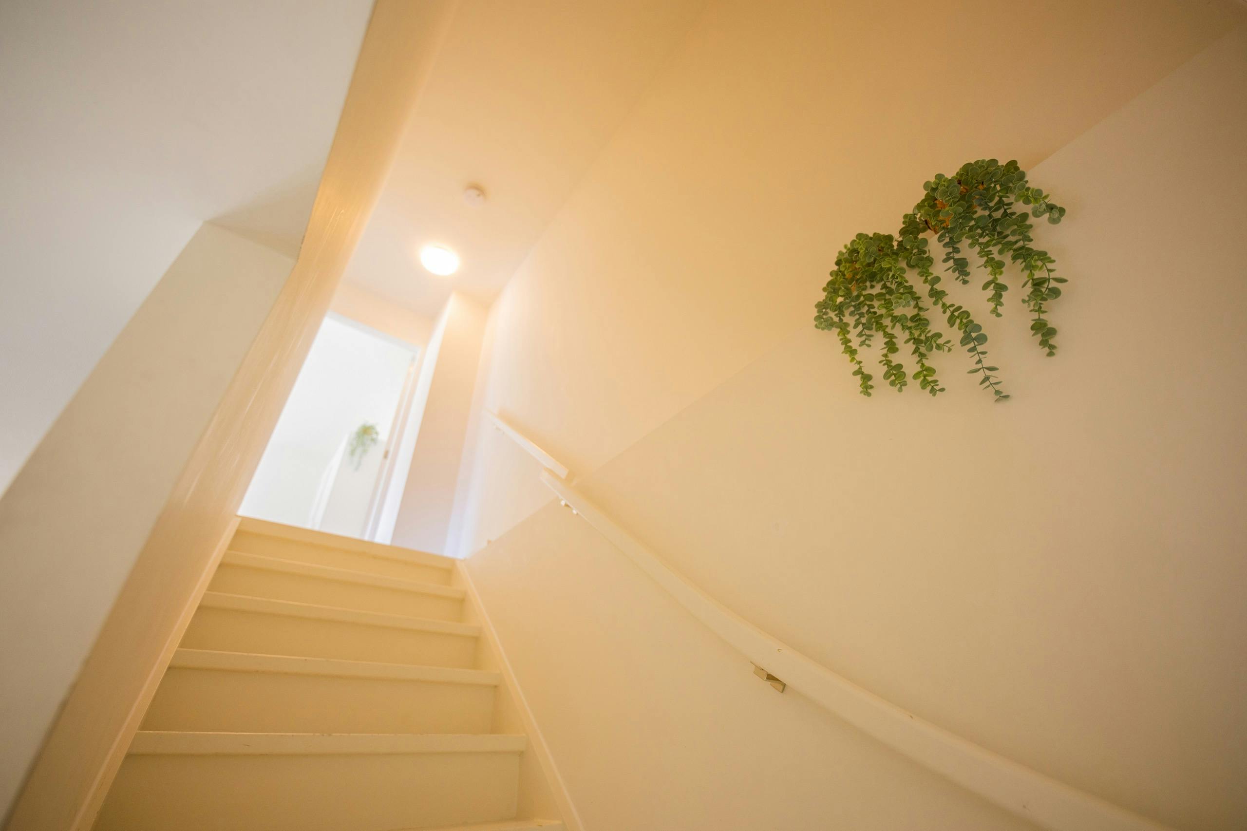 Apartment Eindhoven, 64m² — photo 21