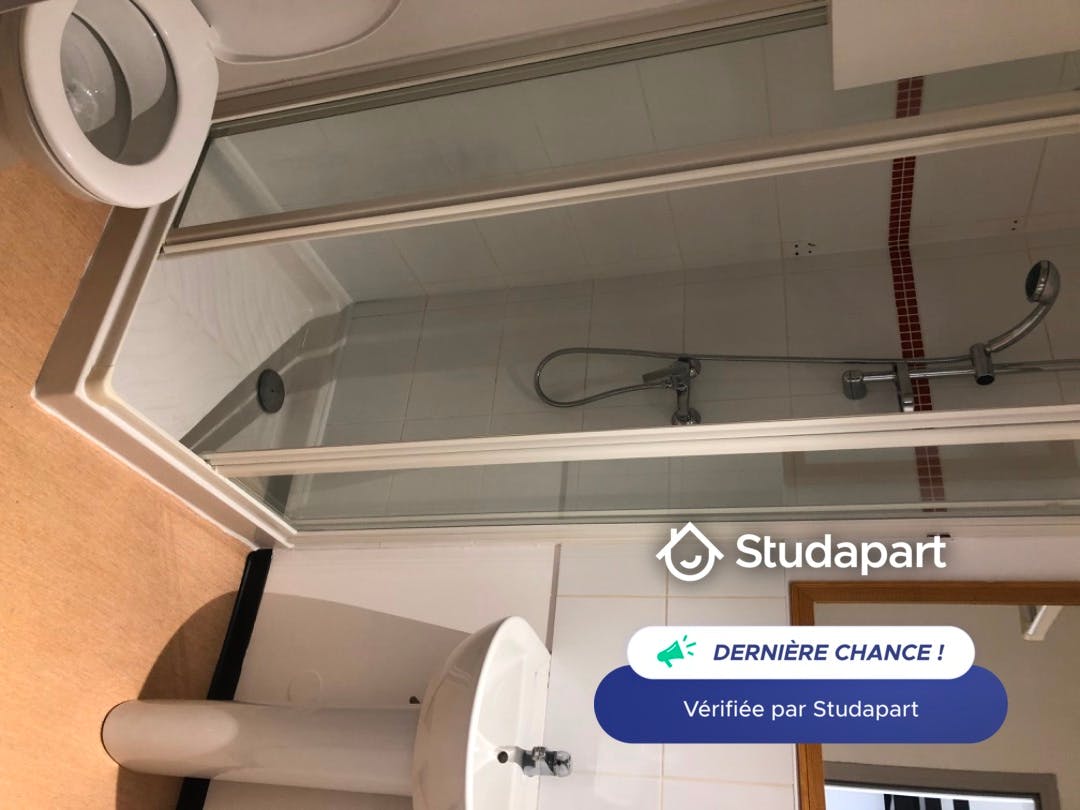 Apartment for rent on Rue Gabrielle Bouveur, Lambersart – pohled 3