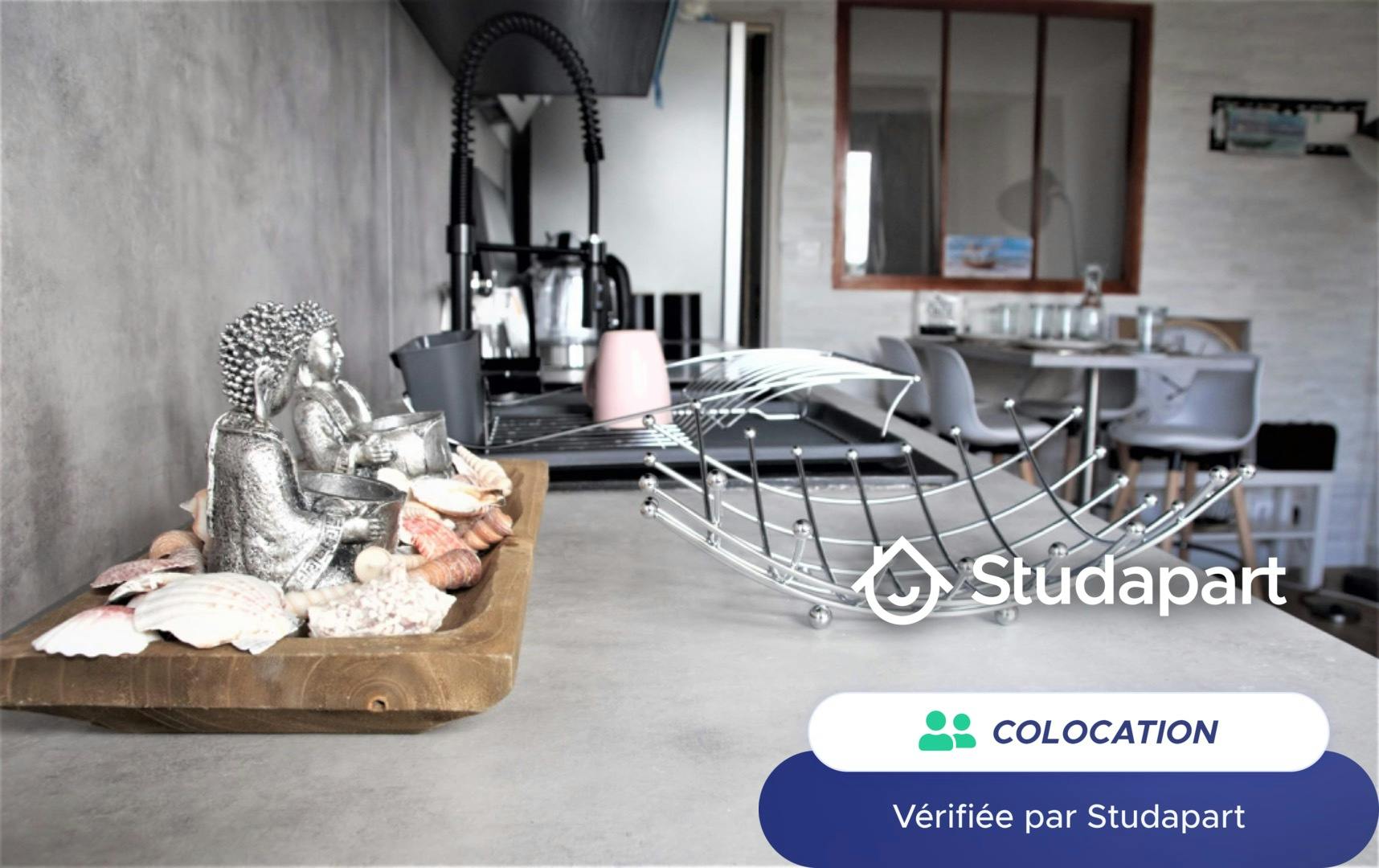 Private room for rent on Rue Paul Lambert, Toulouse - Plus