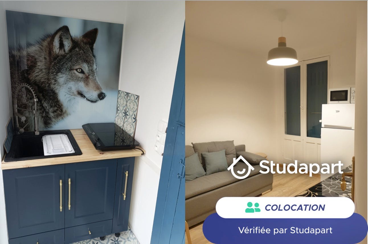 Chambre privée à louer pour 430 €/mois à La Rochelle, Avenue de Paris