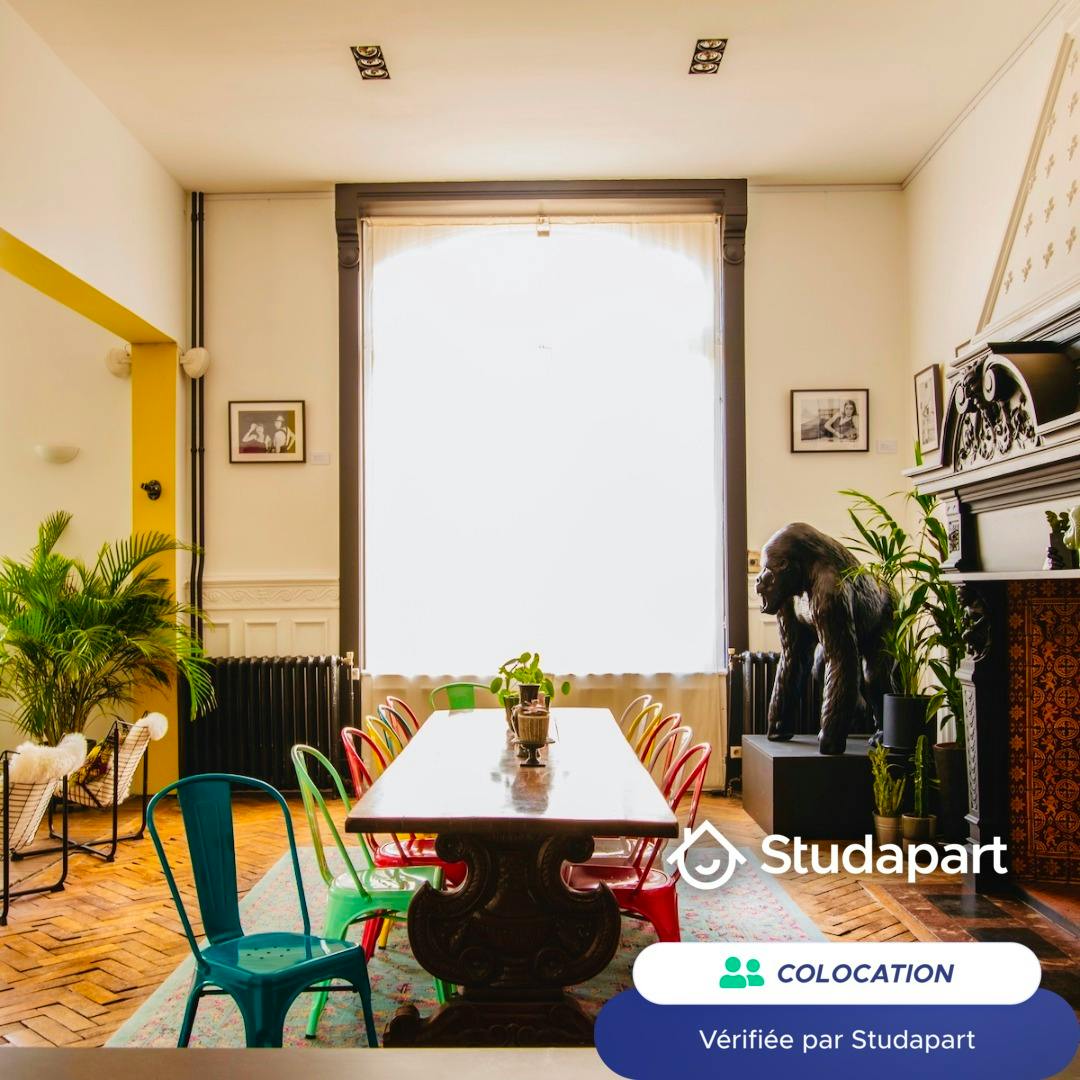 Private room for rent on Rue Solférino, Lille - Vue 5