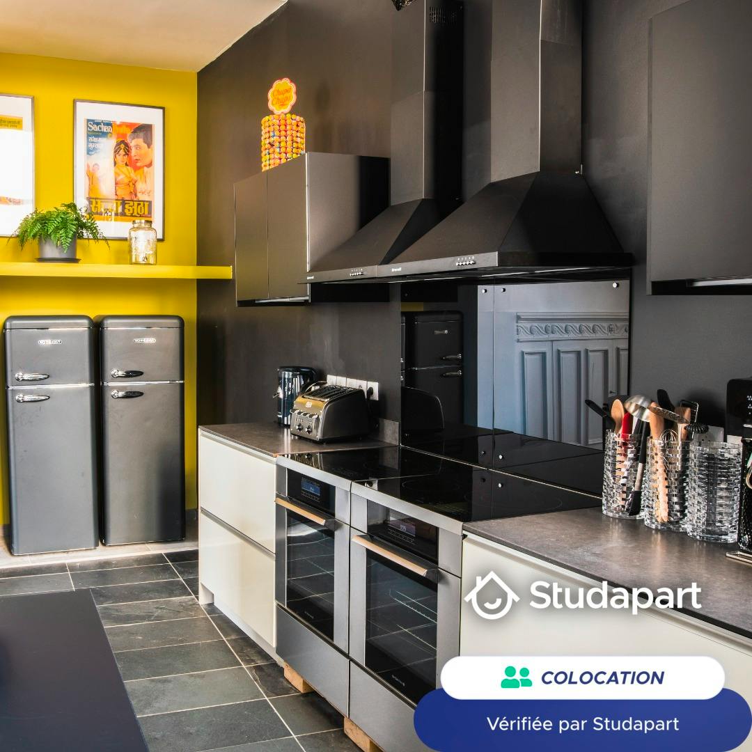 Private room for rent on Rue Solférino, Lille - Plus