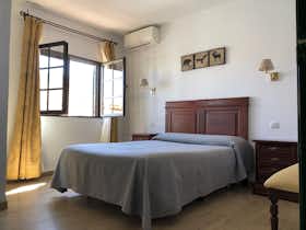 Apartamento en alquiler por 820 € al mes en Zafra, Carretera Badajoz-Granada