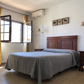 Квартира сдается в аренду за 820 € в месяц в Zafra, Carretera Badajoz-Granada