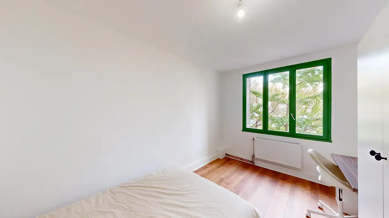 Private room in Rue de Stalingrad, Grenoble (1434243) ROOM 1