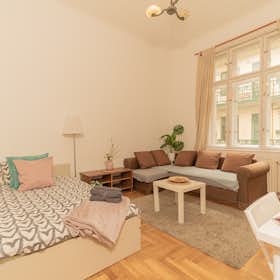 私人房间 正在以 HUF 151,976 的月租出租，其位于 Budapest, Váci utca