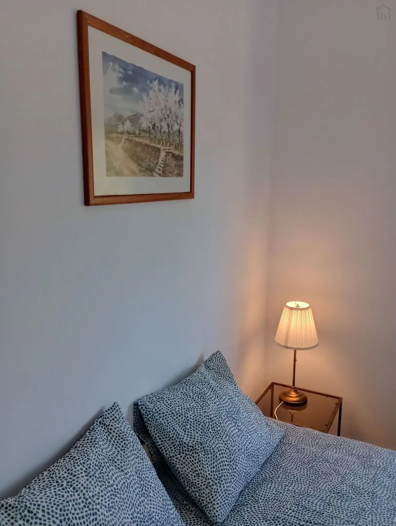 Private room in Rua de Aires de Ornelas, Porto (1436685) ROOM 3