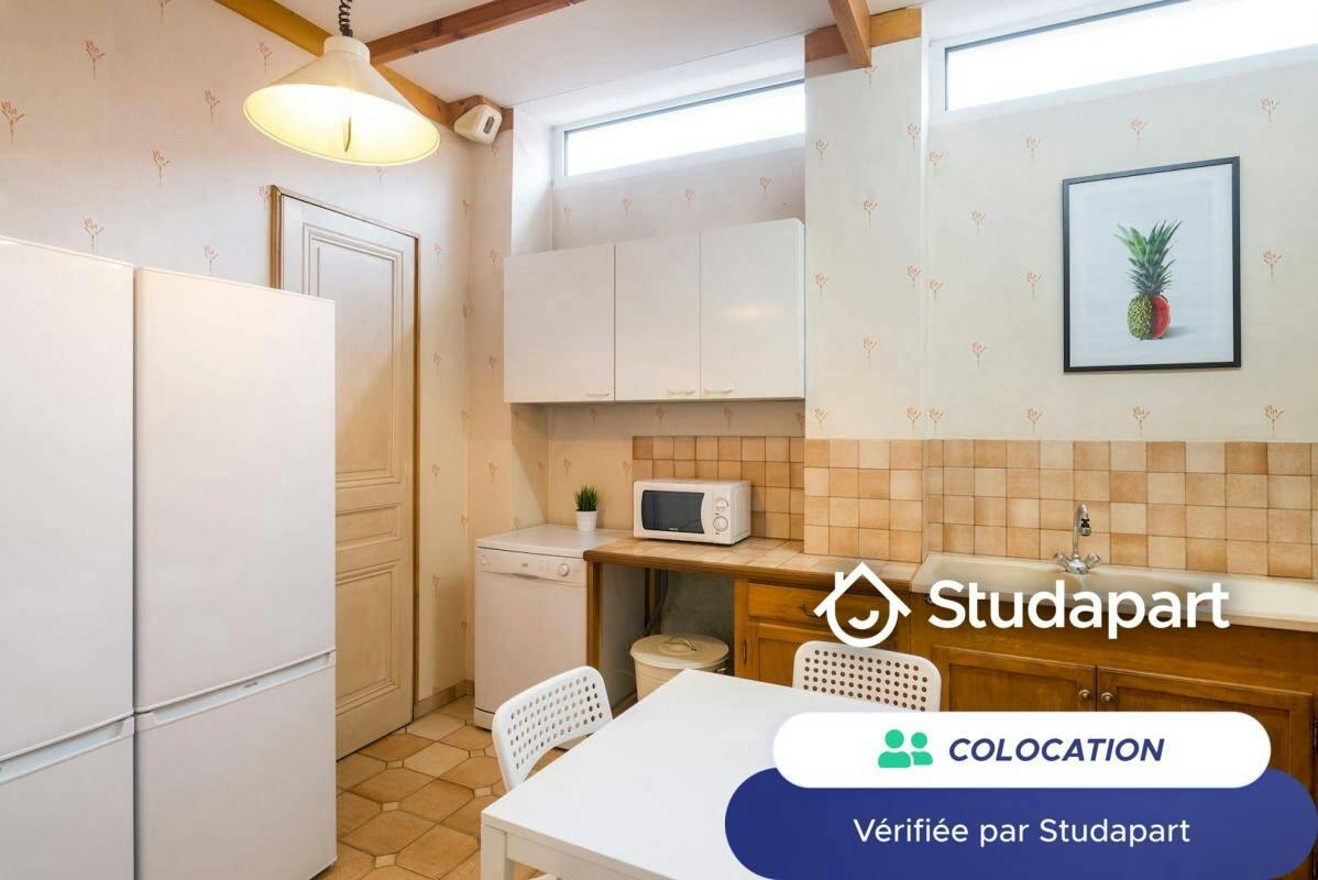 Private room for rent on Rue Villebois-Mareuil, Lyon - Plus