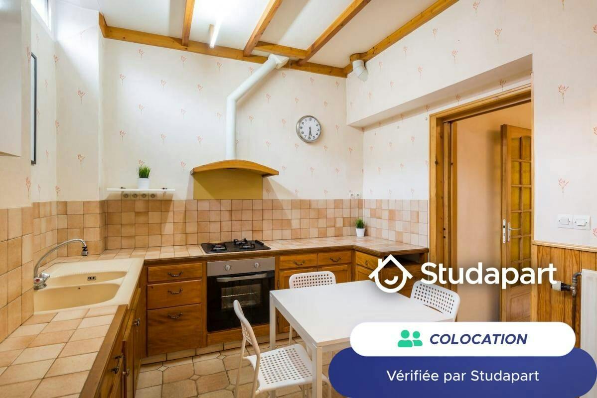 Private room for rent on Rue Villebois-Mareuil, Lyon - Vue 5