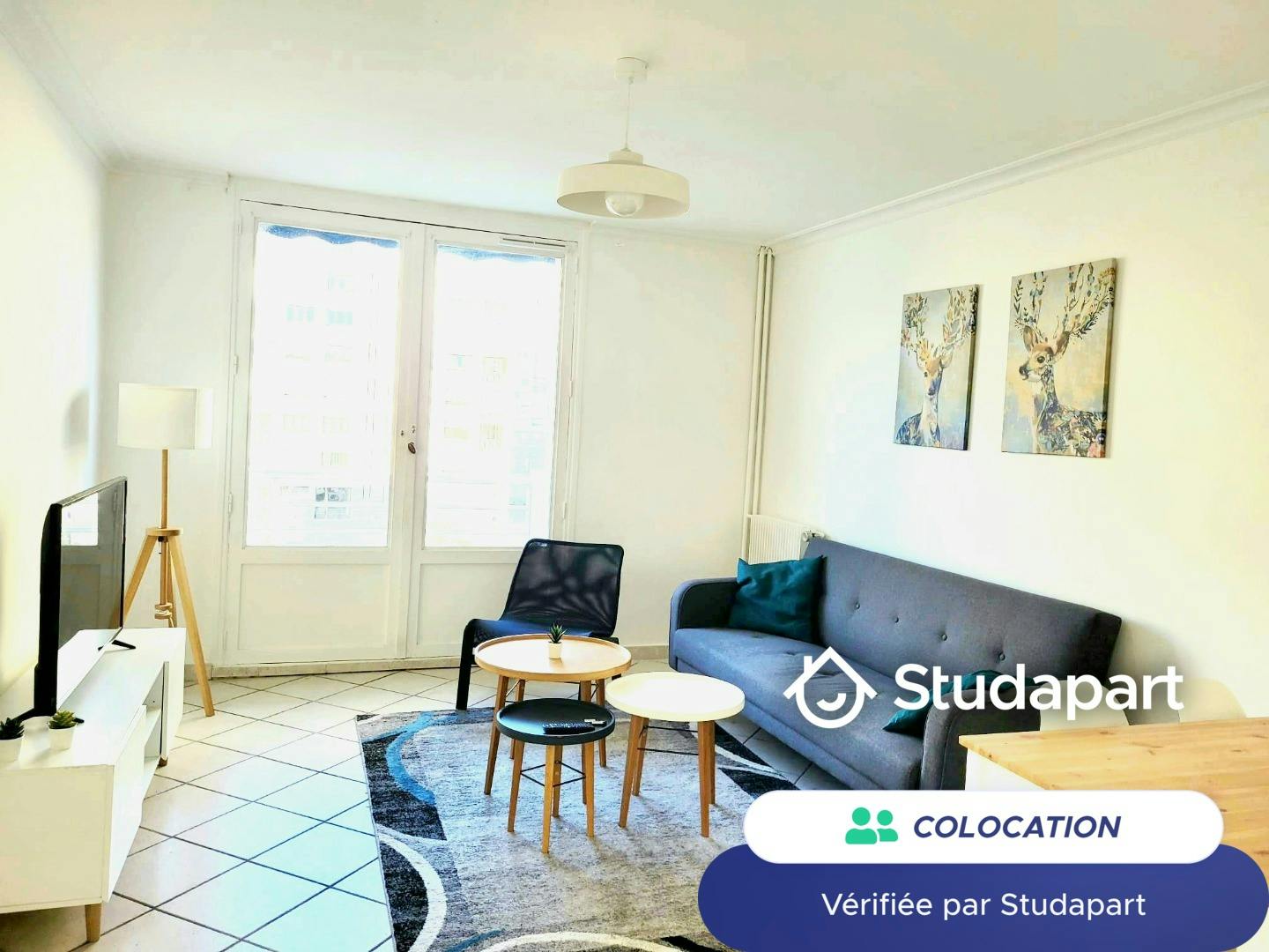 Chambre privée à louer pour 450 €/mois à Tours, Square Mendelssohn