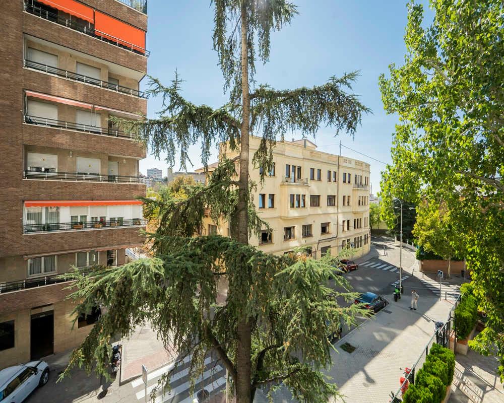 Single room Madrid, 18m² — photo 60