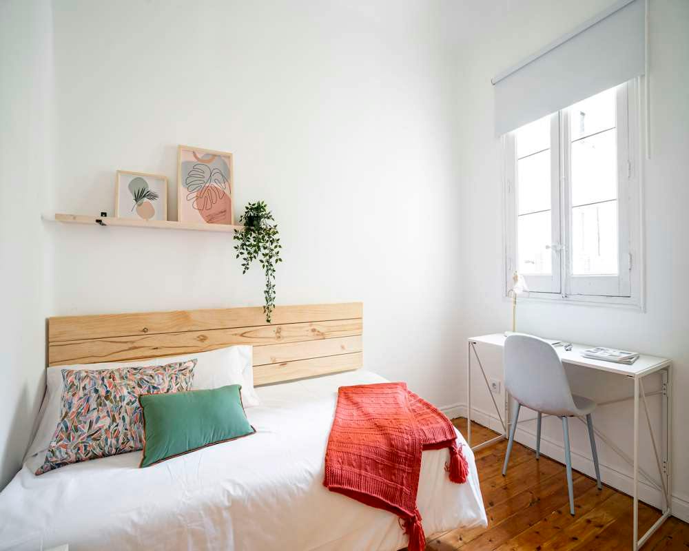 Single room Madrid, 13m² — photo 16