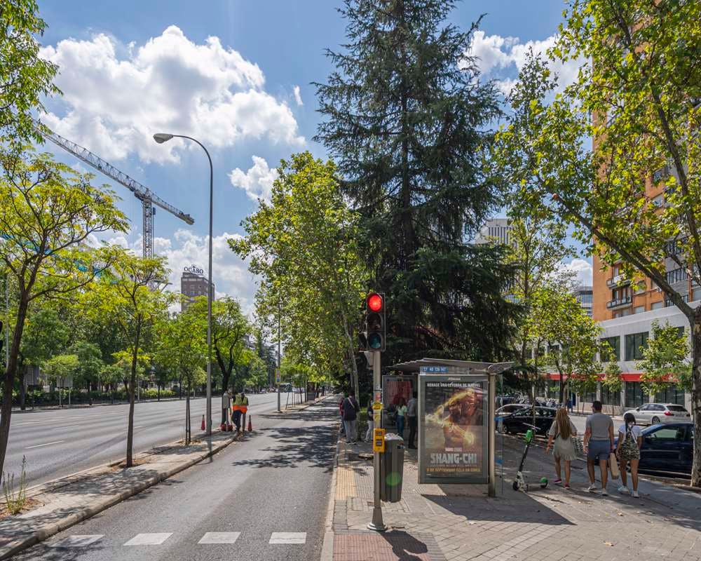 Single room Madrid, 1 bed, 8m² — photo 30