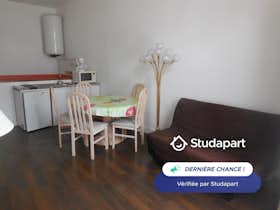 公寓 正在以 €650 的月租出租，其位于 Blois, Rue Denis Papin