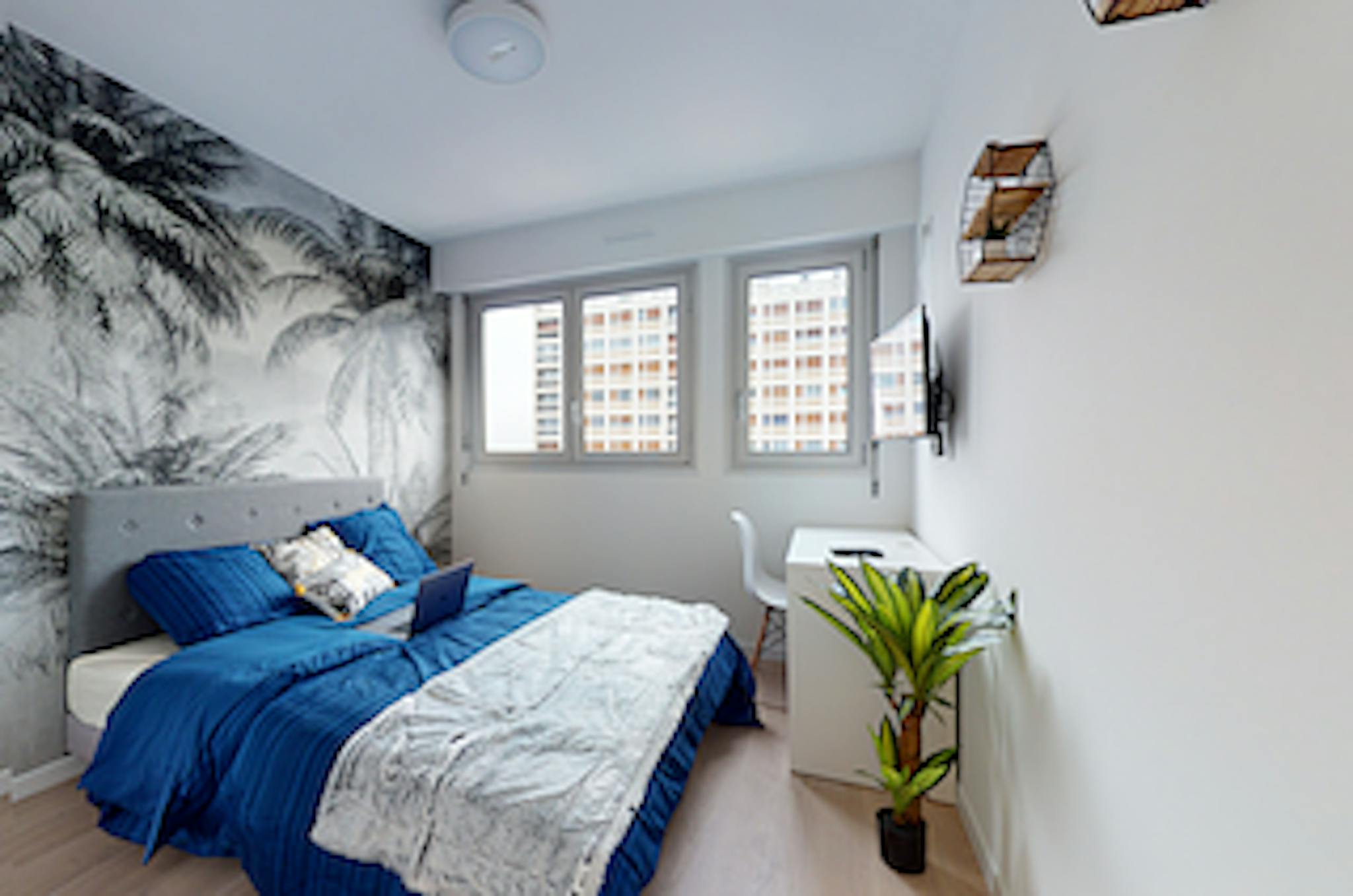 Rue de Provence, Poitiers preview