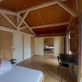 Private room for rent for €865 per month in Bordeaux, Avenue d'Arès