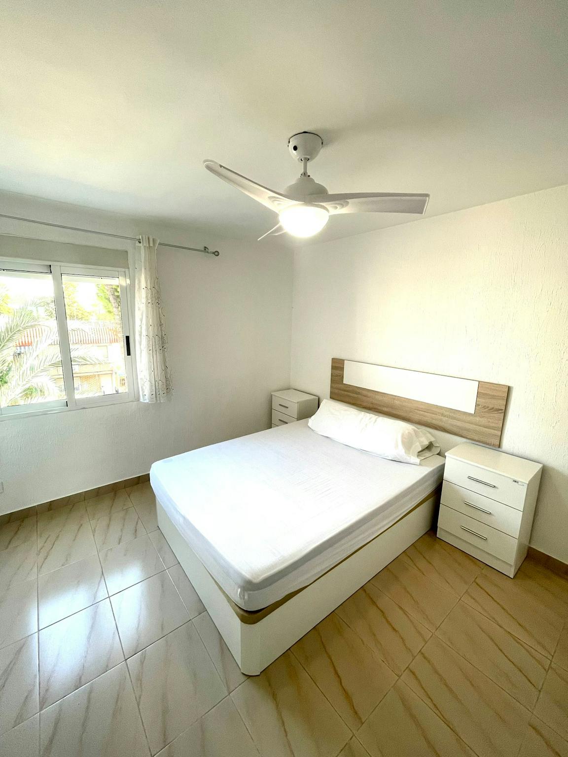 Paseo Cactus, Murcia preview