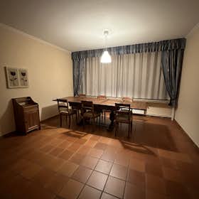 Cameră comună de închiriat pentru 300 EUR pe lună în Antwerpen, Wouter Haecklaan