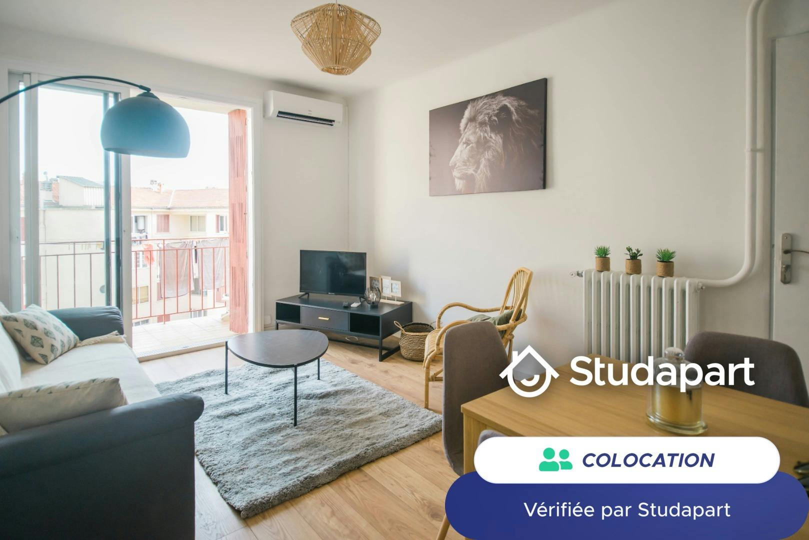 Private room for rent for €535 per month in Toulon, Boulevard Docteur Charles Barnier