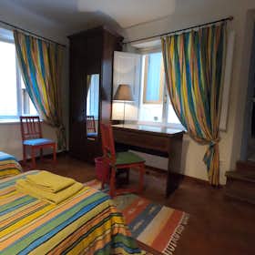Private room for rent for €800 per month in Florence, Via dei Macci