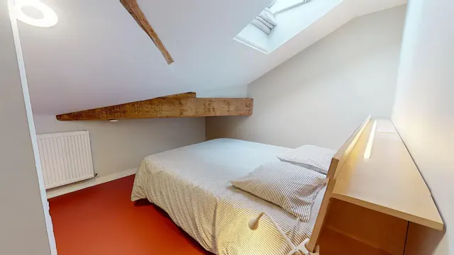 Private room in Rue Bourgneuf, Saint-Étienne (1445322) room image 10