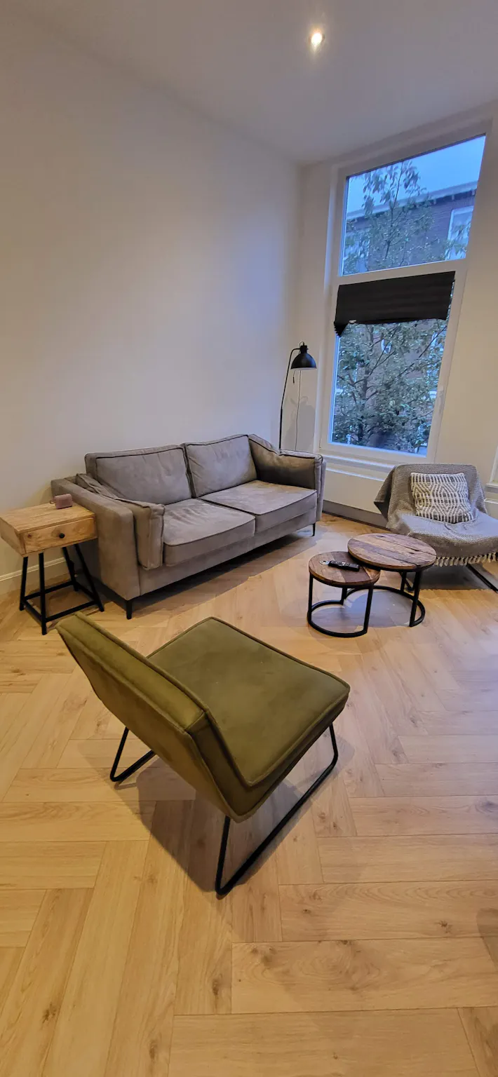 2-Bedroom Apartment in Anton de Haenstraat, The Hague (1445771) ROOM