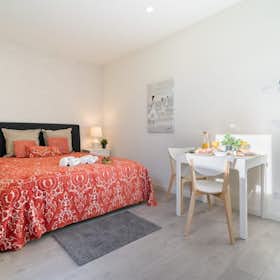 Studio for rent for €999 per month in Porto, Travessa dos Campos