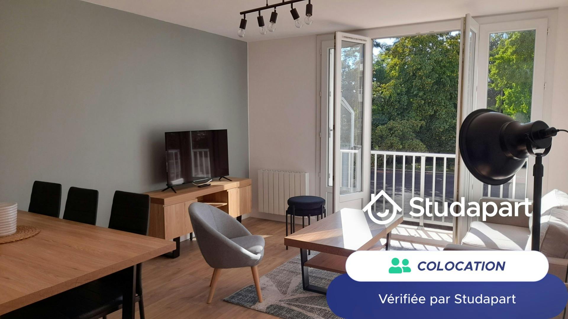 Private room for rent on Rue des Reinettes, Nantes - Vue 4