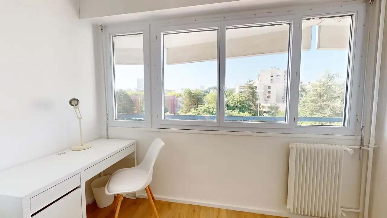 Private room in Rue Professeur Patel, Lyon (1446500) ROOM 2