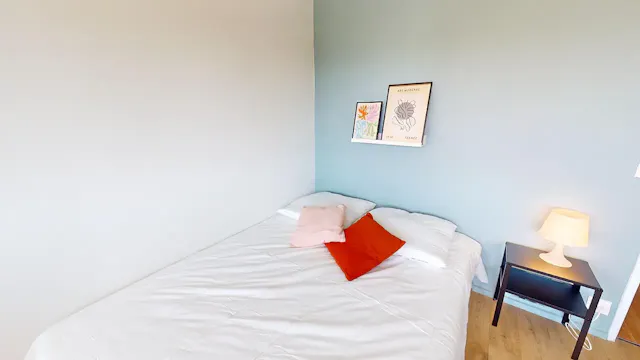 Private room in Rue Professeur Patel, Lyon (1446500) room image 2