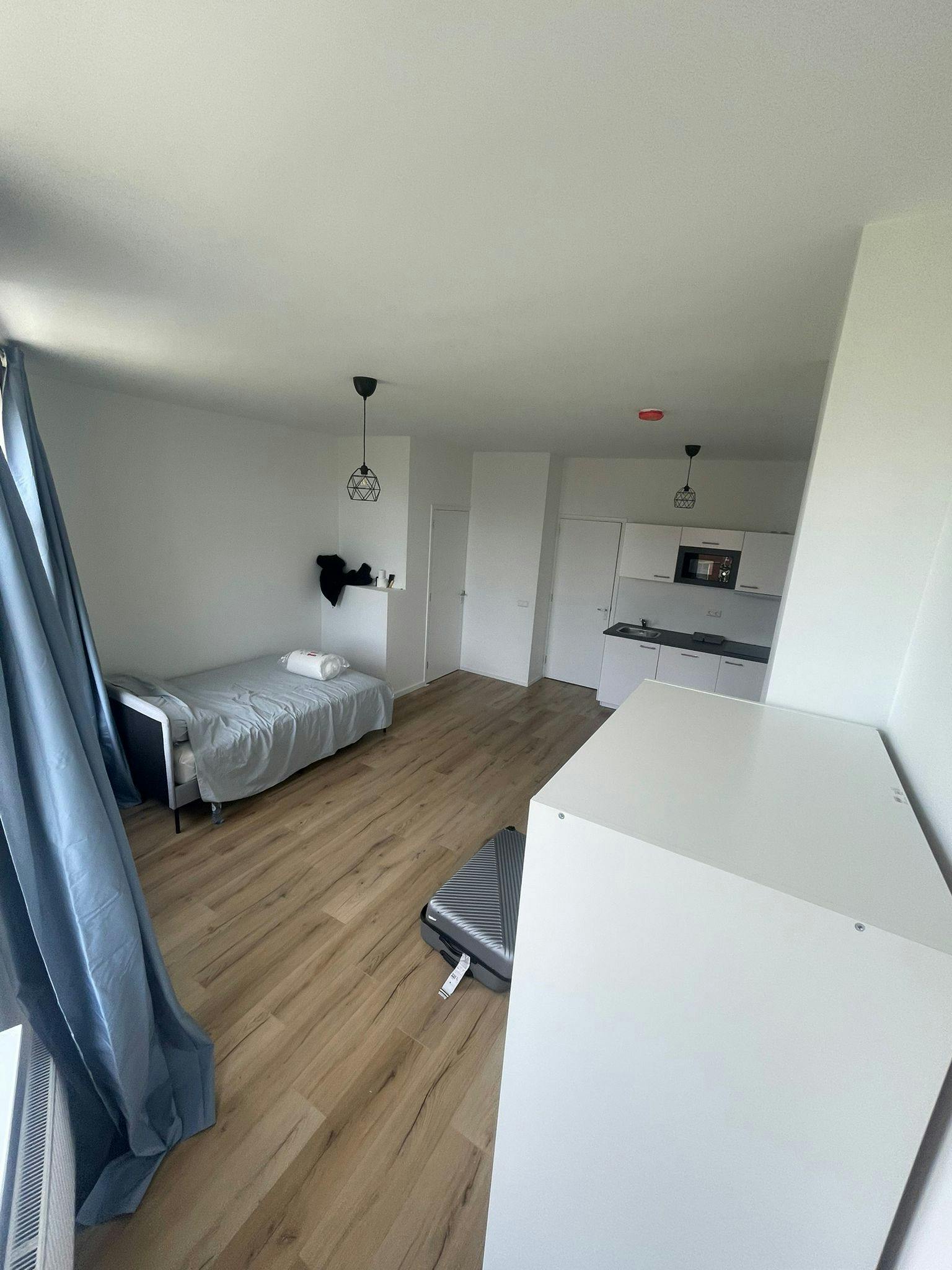 Apartment in Boergoensestraat, Rotterdam (1447301) ROOM