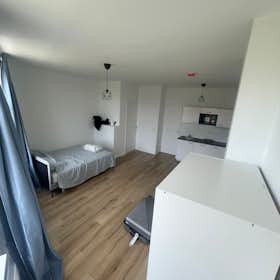 Estudio  for rent for 1200 € per month in Rotterdam, Boergoensestraat